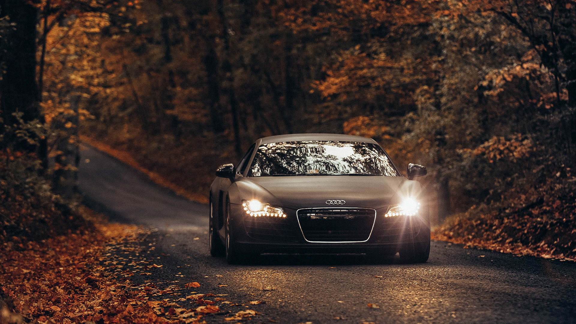 black Audi driving on a backroad